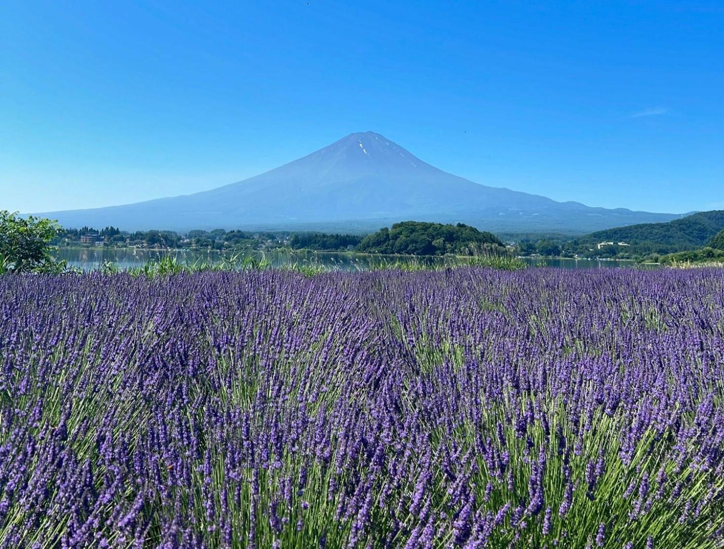 Moonlightvilla 河口湖大橋 Fujikawaguchiko