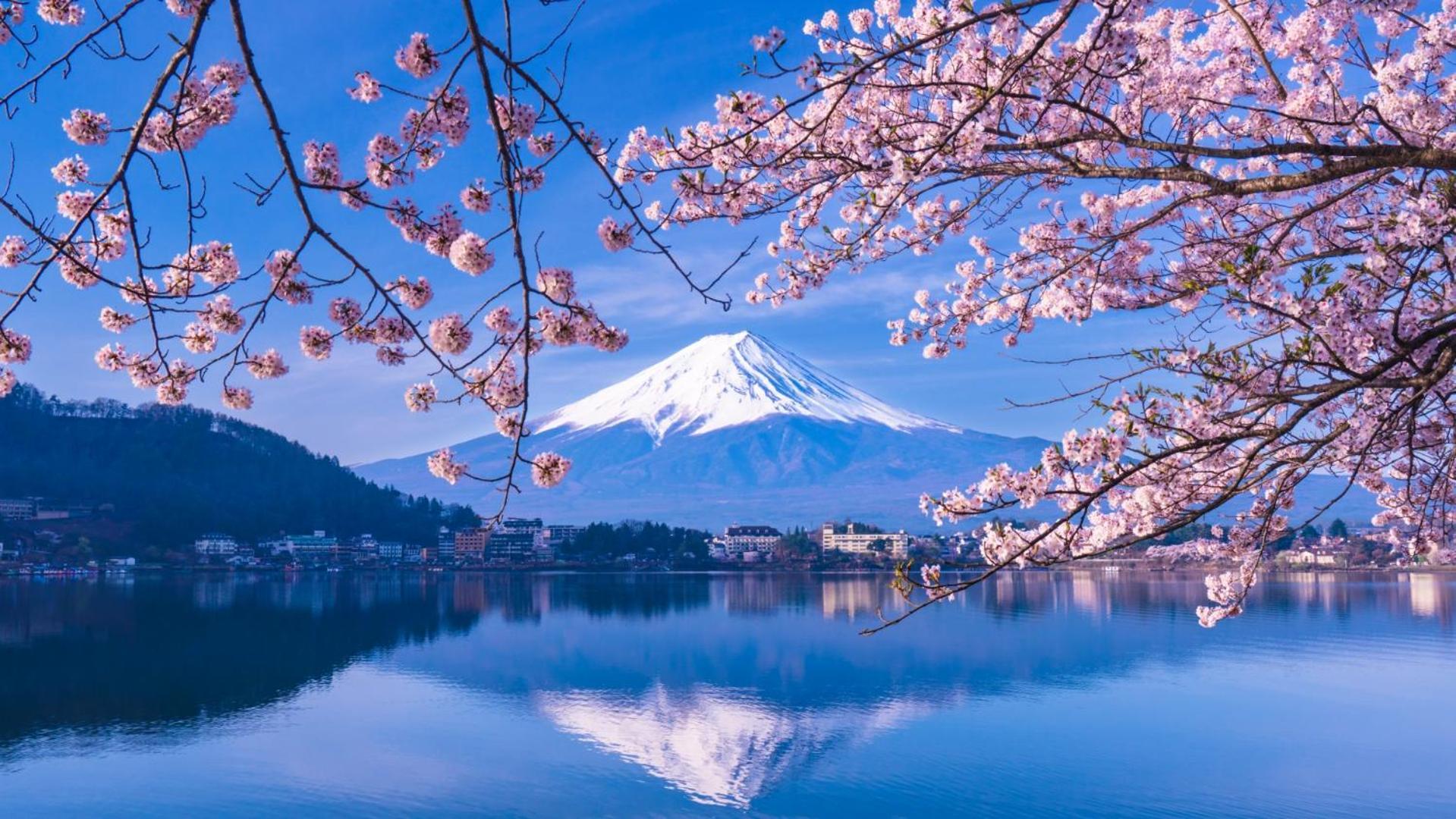 Moonlightvilla 河口湖大橋 Villa Fujikawaguchiko
